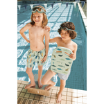 Schwimmbrett HAYDEN Shark / Dove blue