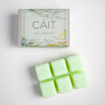 WAX CUBES - Scented Wax Gin Botanica / CÁIT Scented Wax