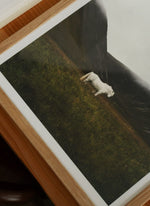 Poster SOLITUDE A4