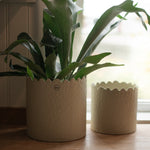 Blumentopf FLOWERY creme large